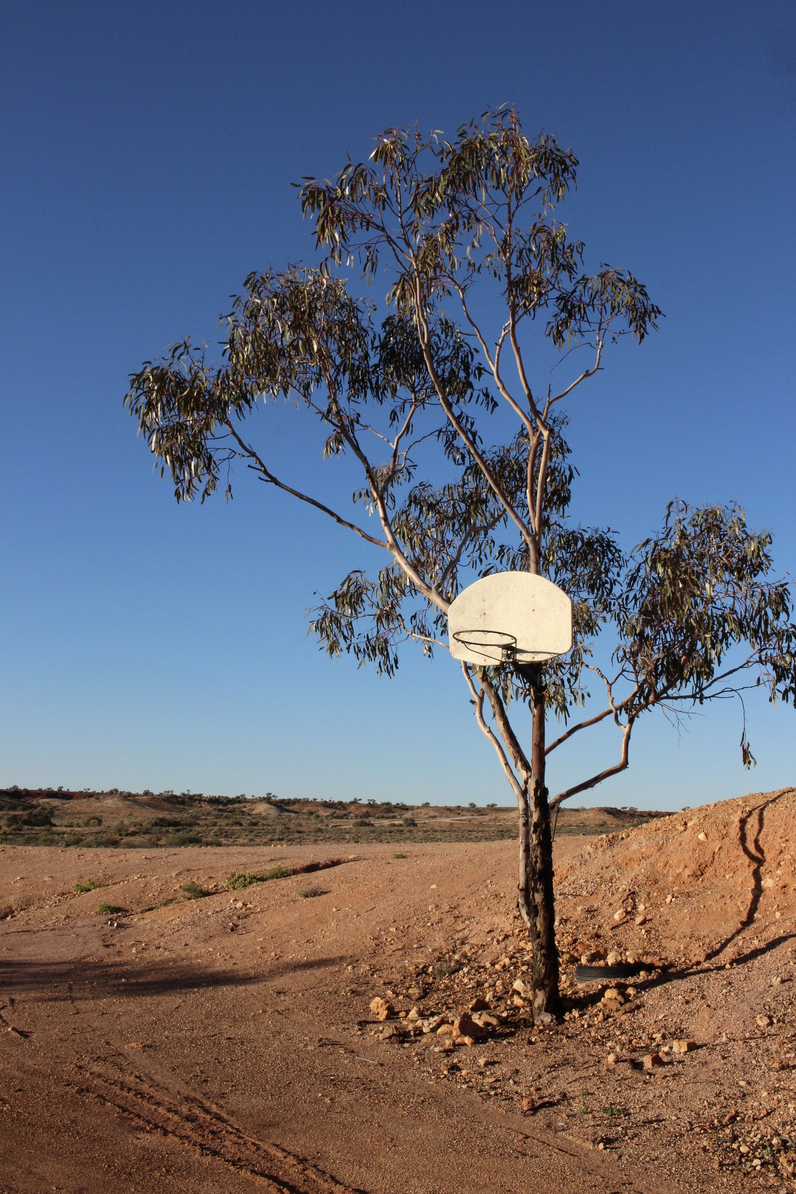 Desert