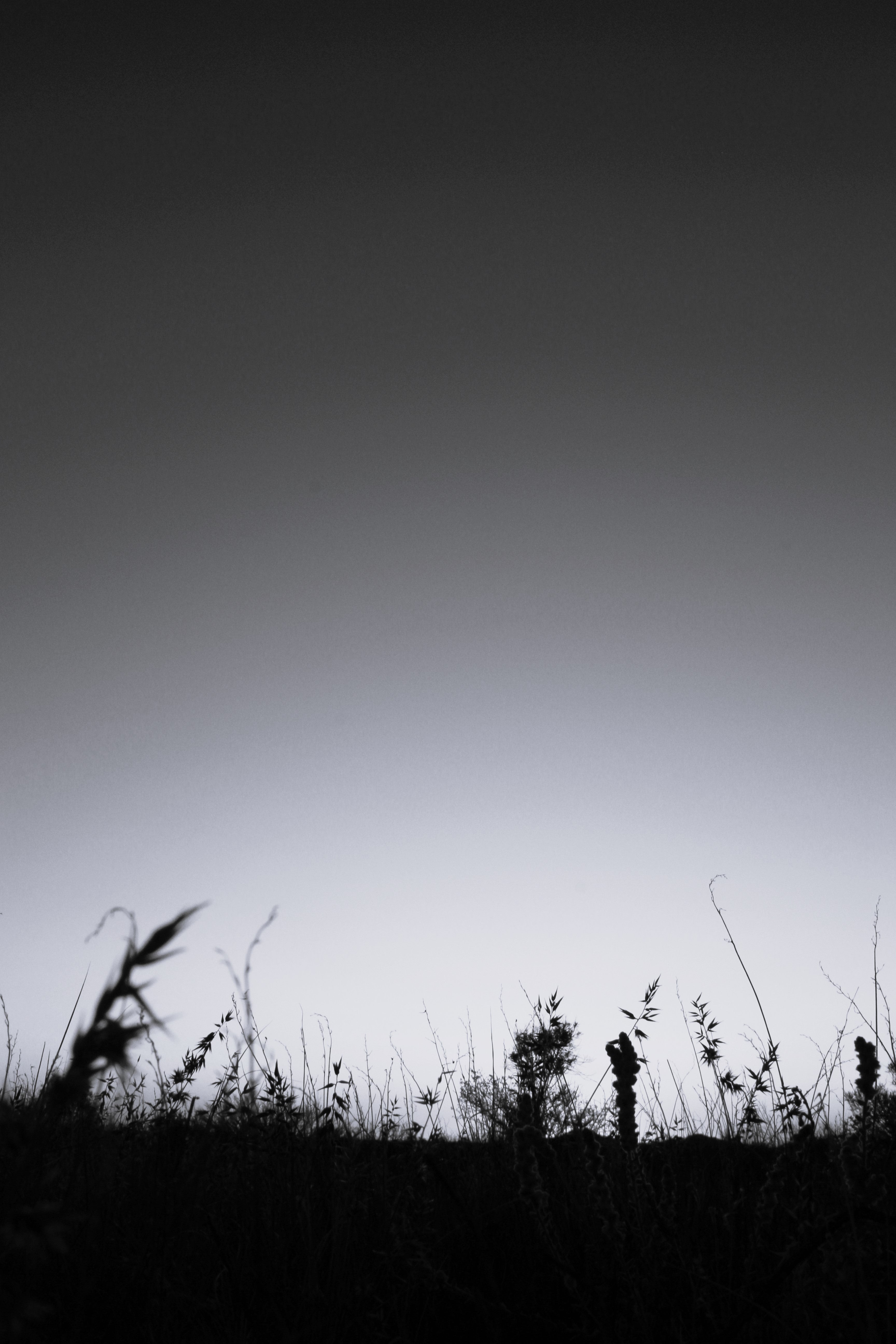 First Light Coober Pedy B&W