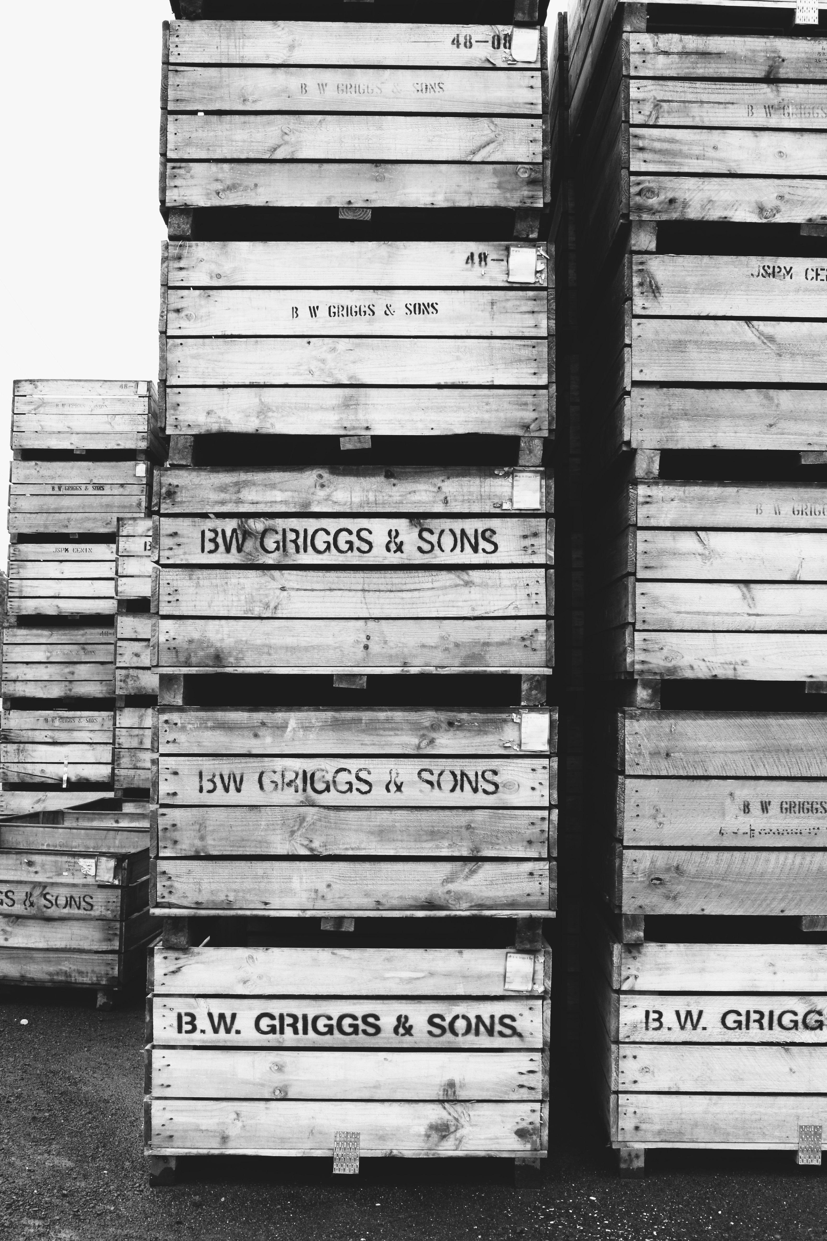 Harvest B&W