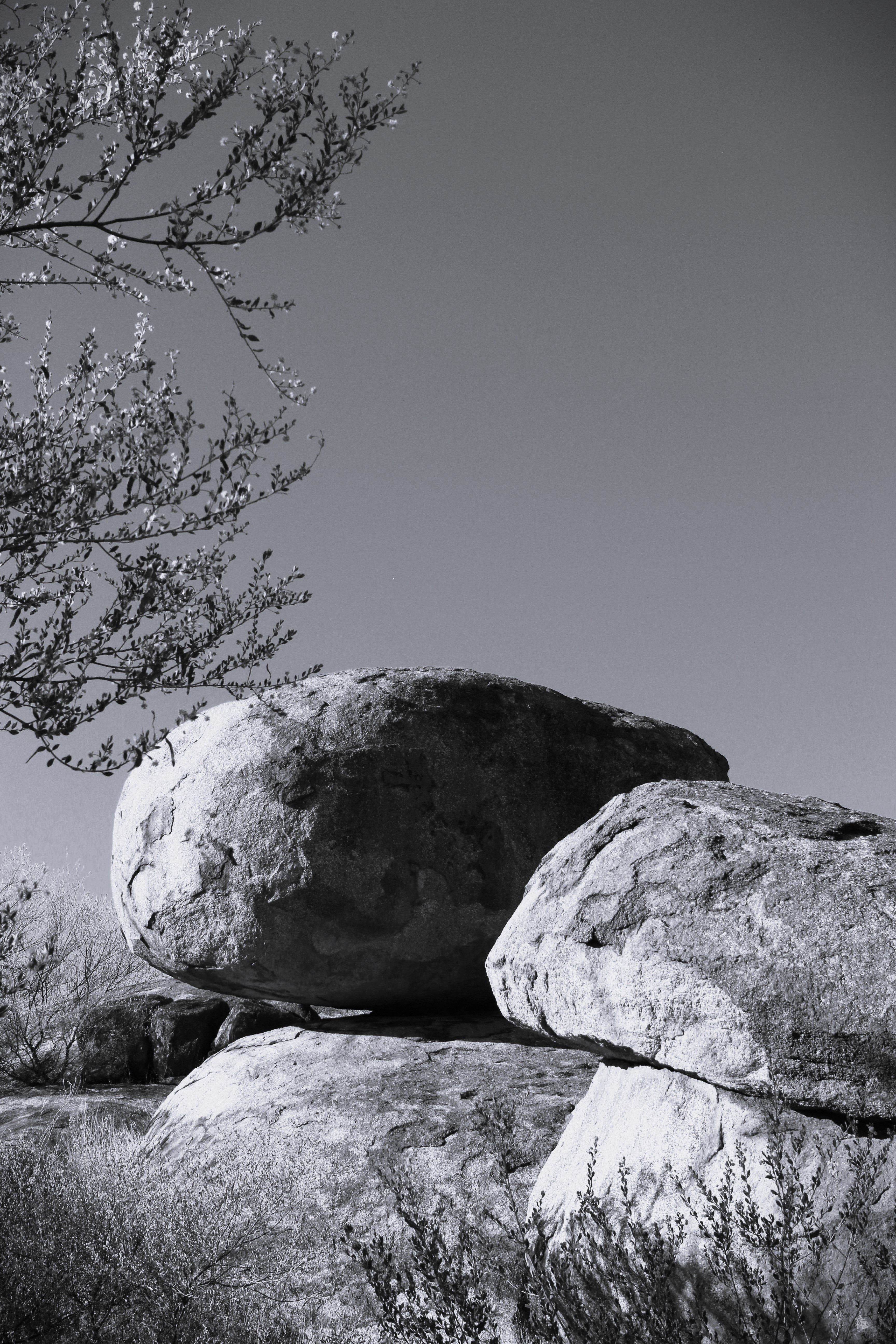 Marbles B&W