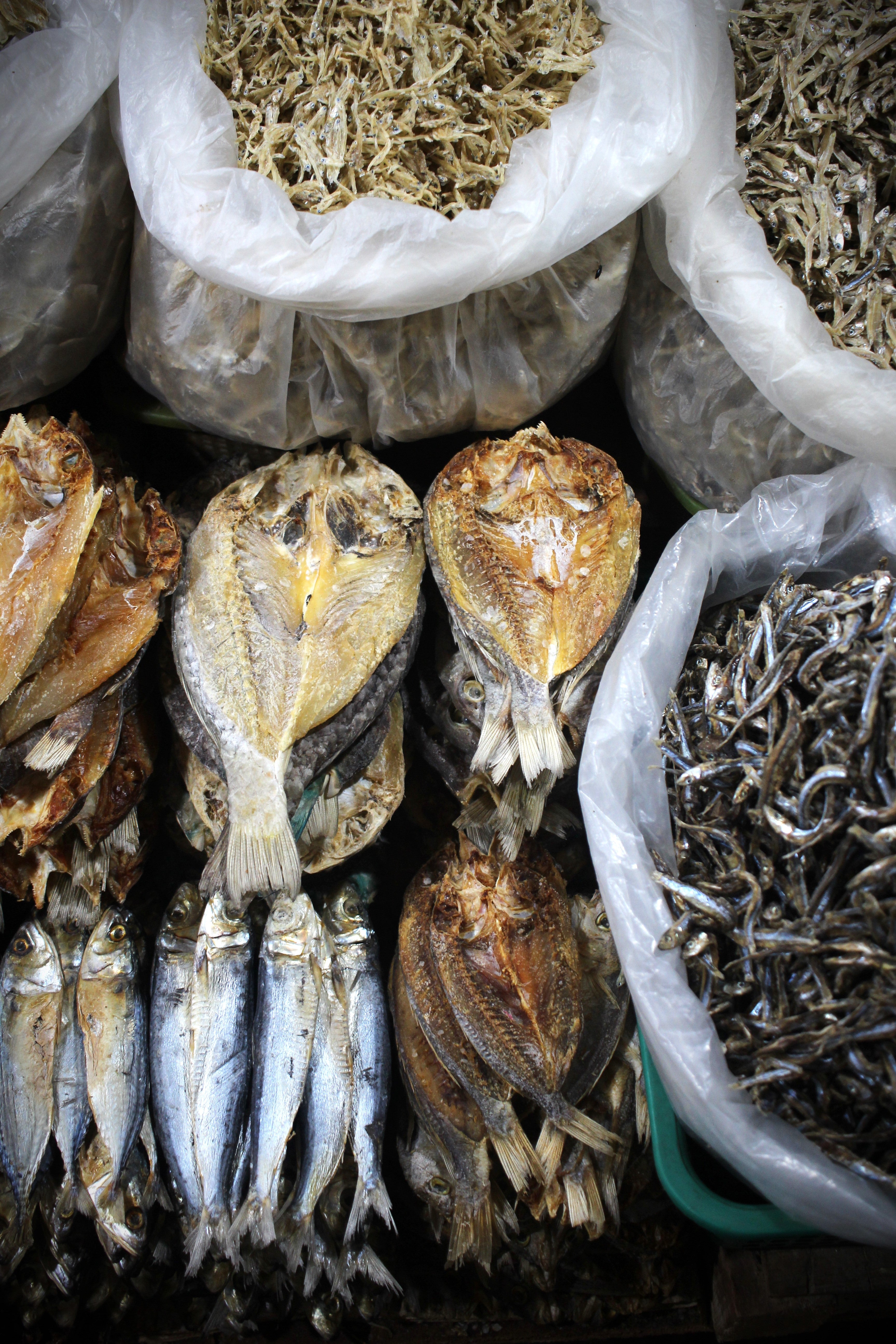 Dried Fish