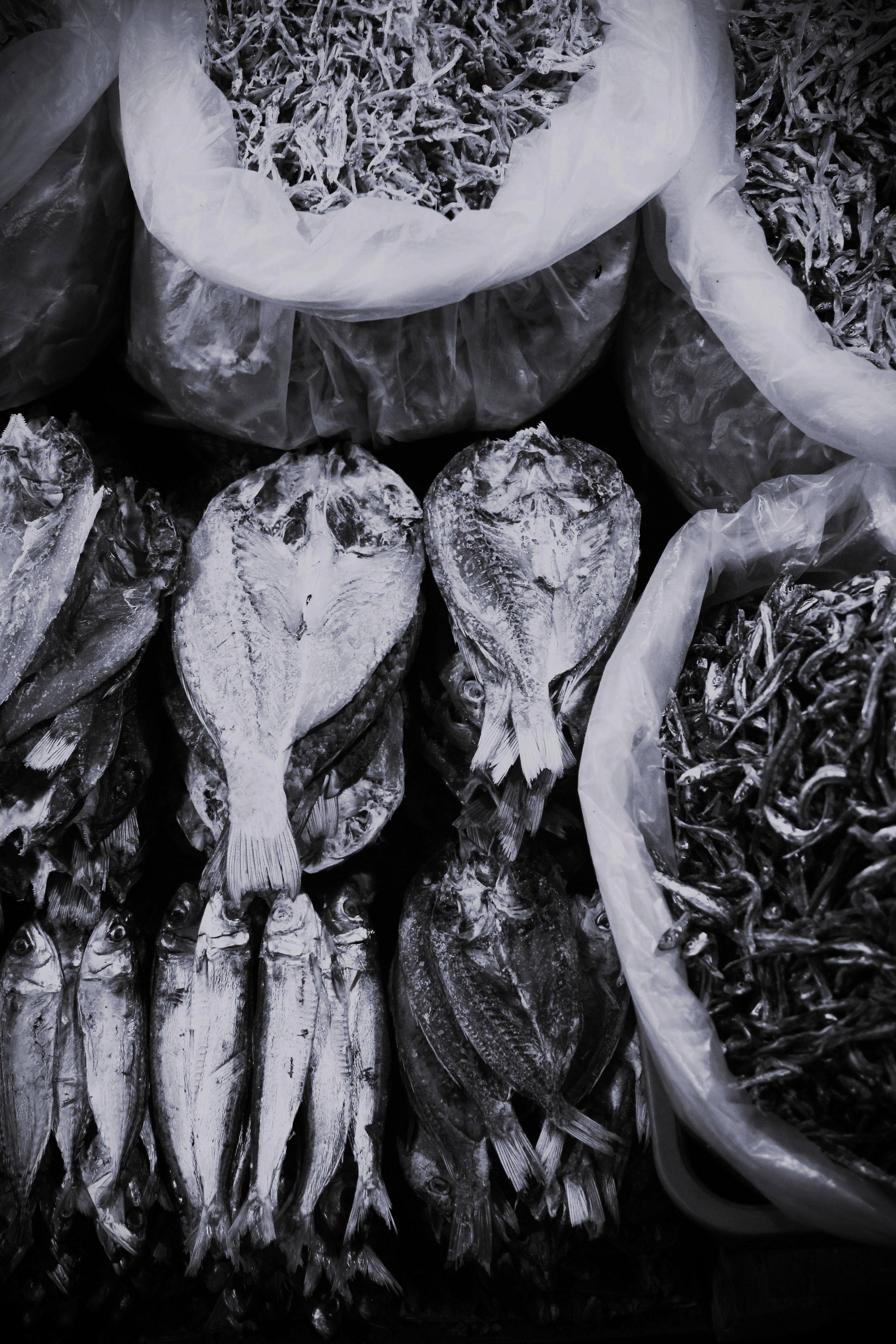 Black and white image of dried fish and herbs on a market stall
