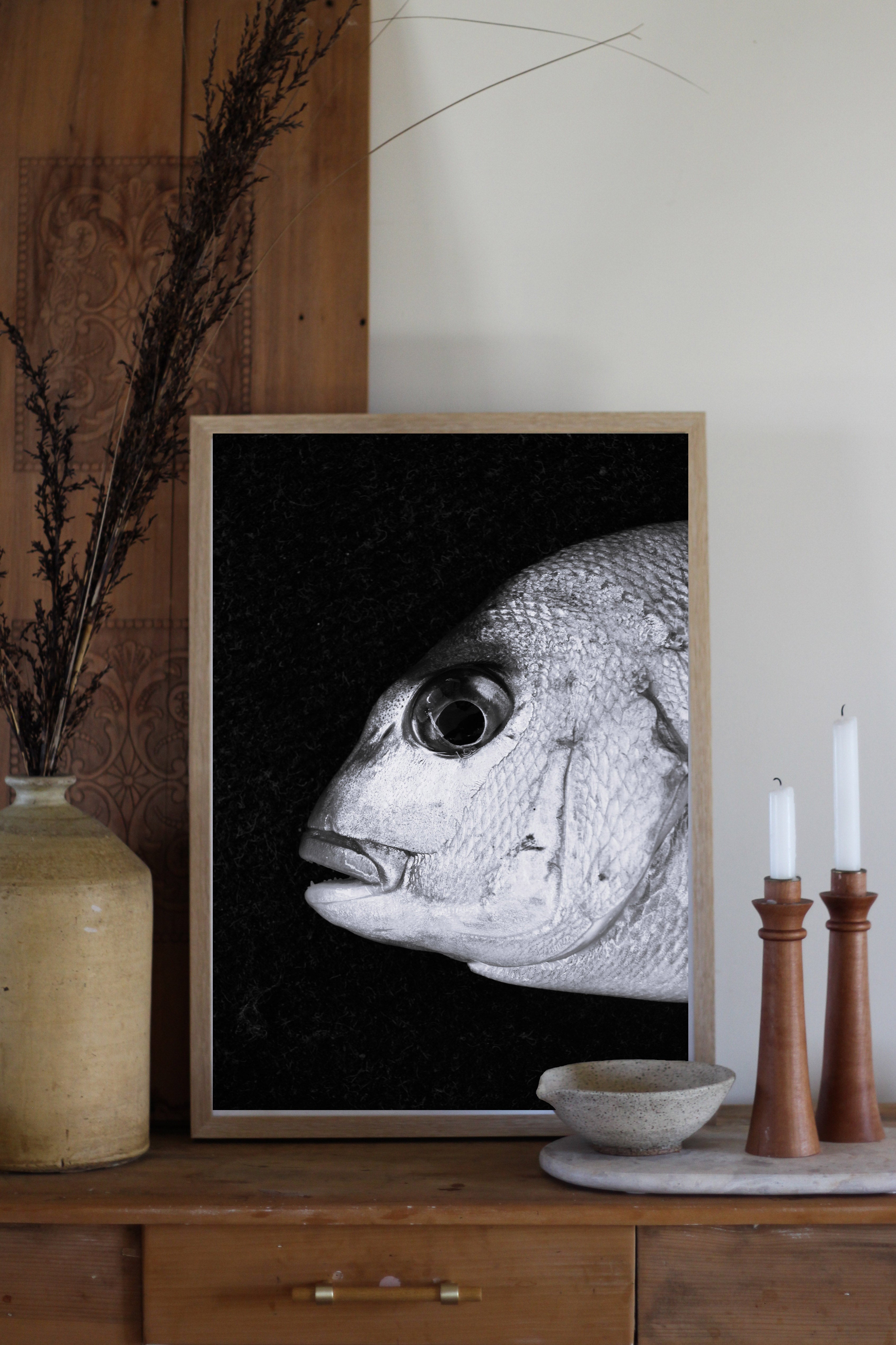 Winter Snapper B&W