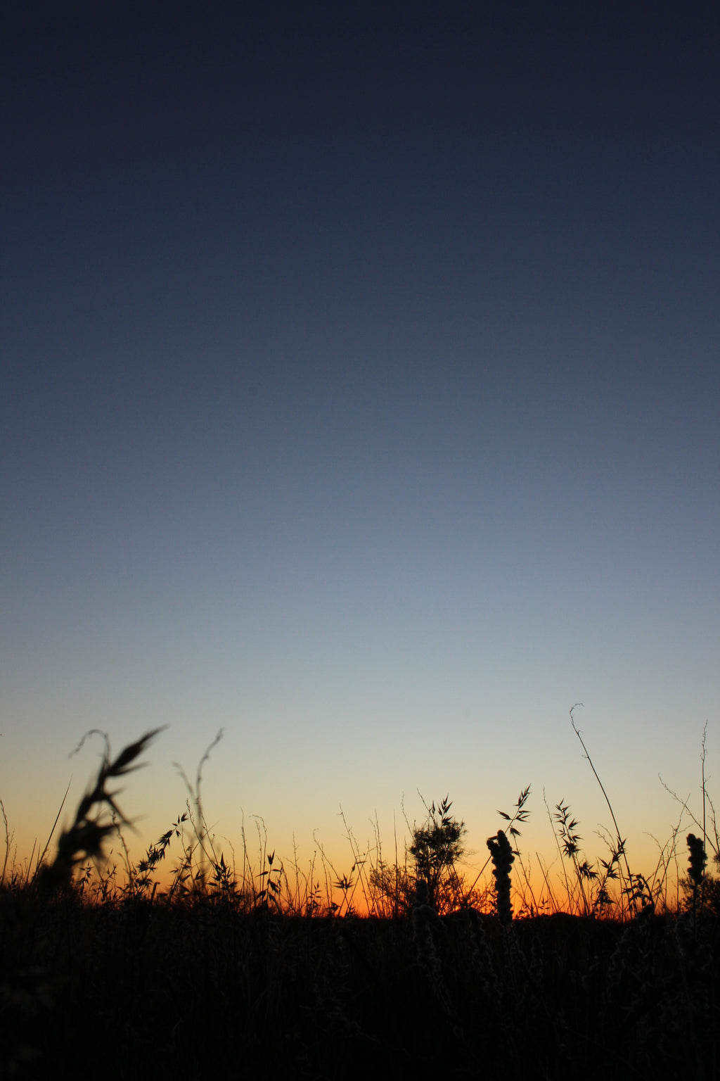 First Light Coober Pedy