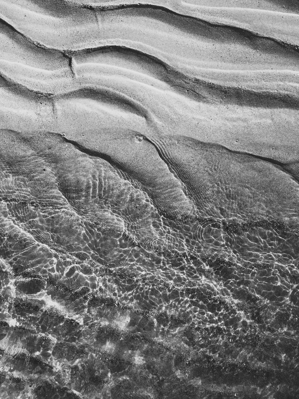 Freers B&W