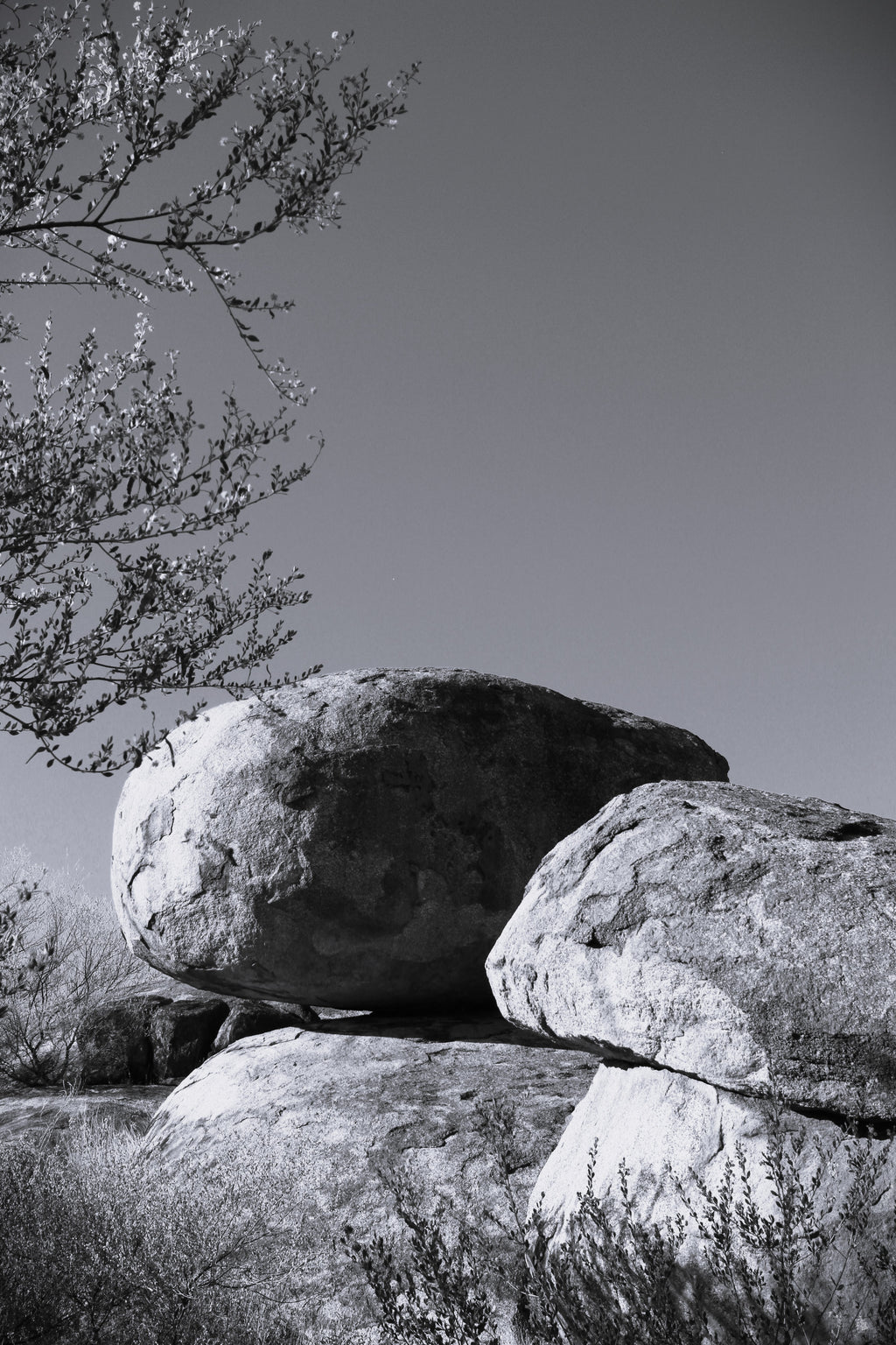 Marbles B&W