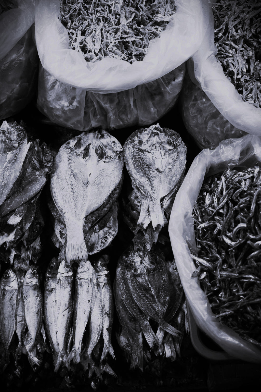 Black and white image of dried fish and herbs on a market stall