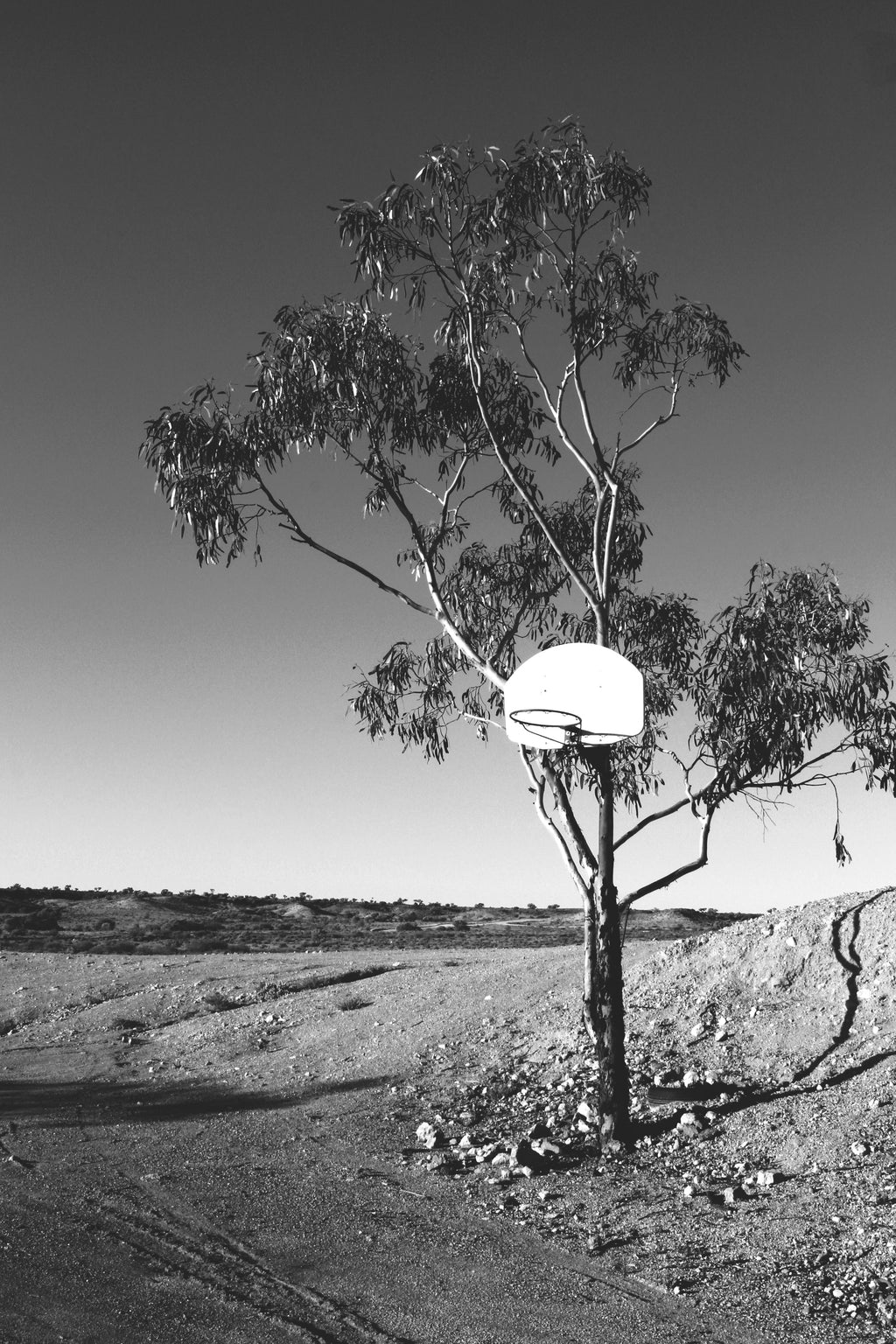 Outback Ball
