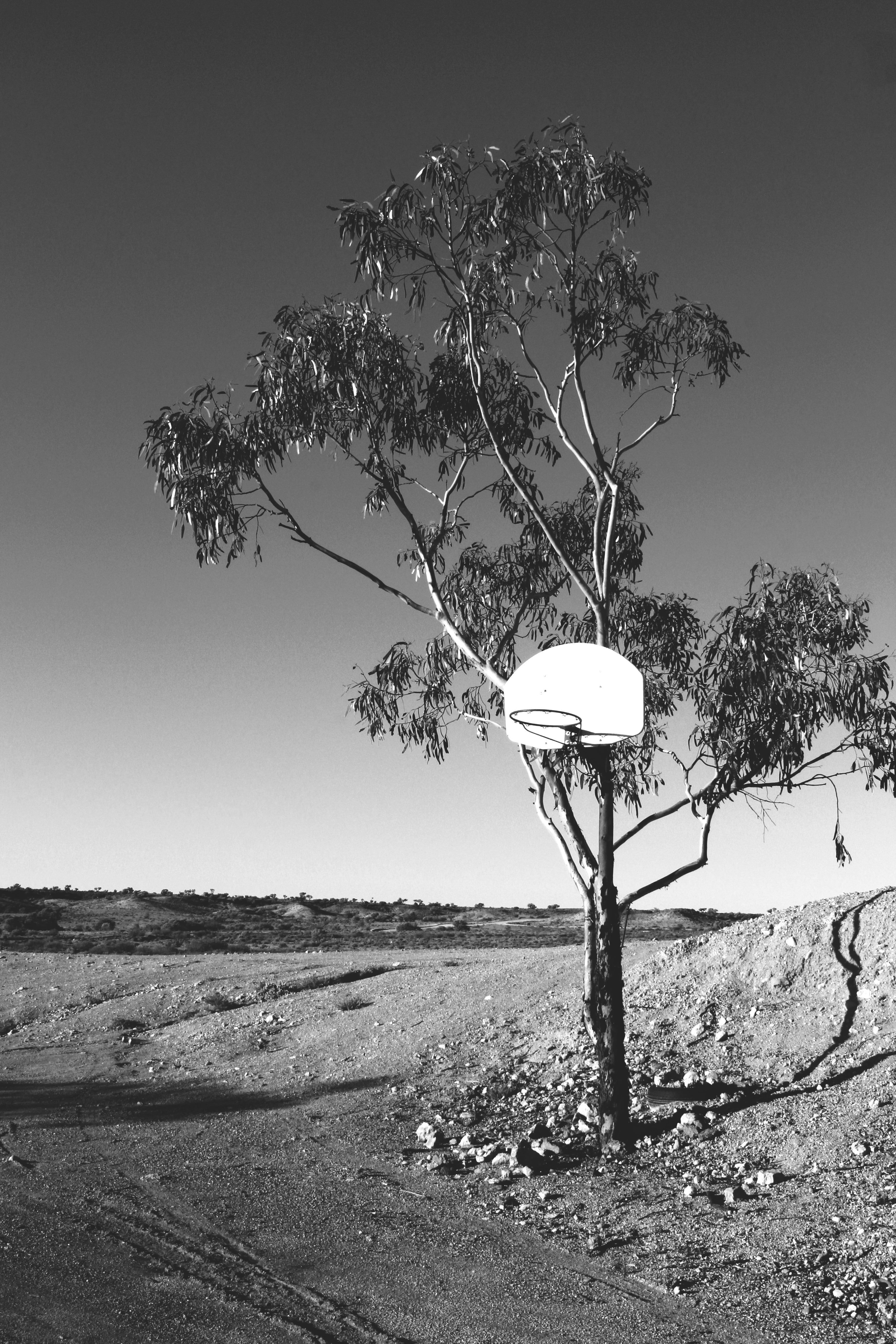Outback Ball