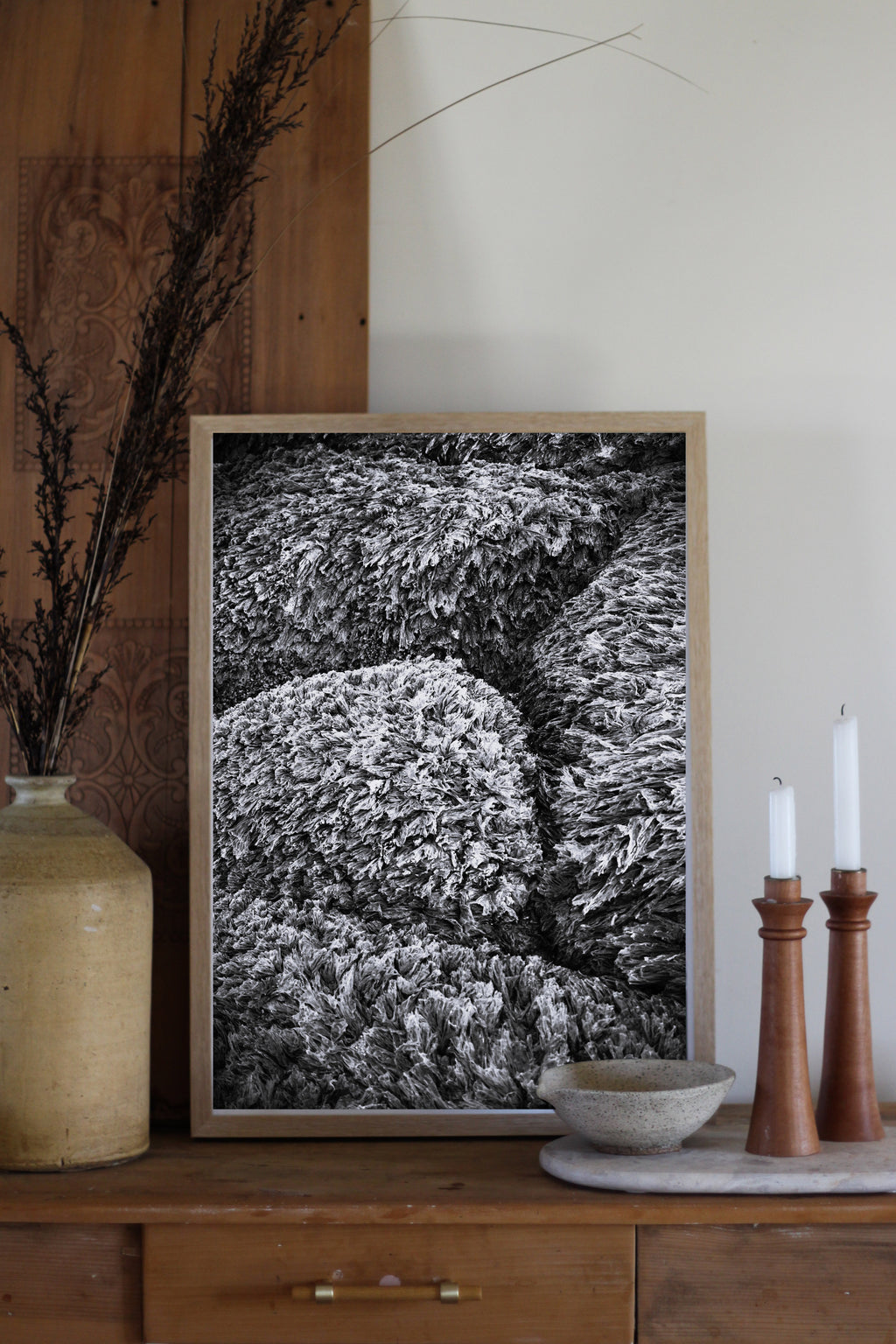 Seaweed Carpet B&W