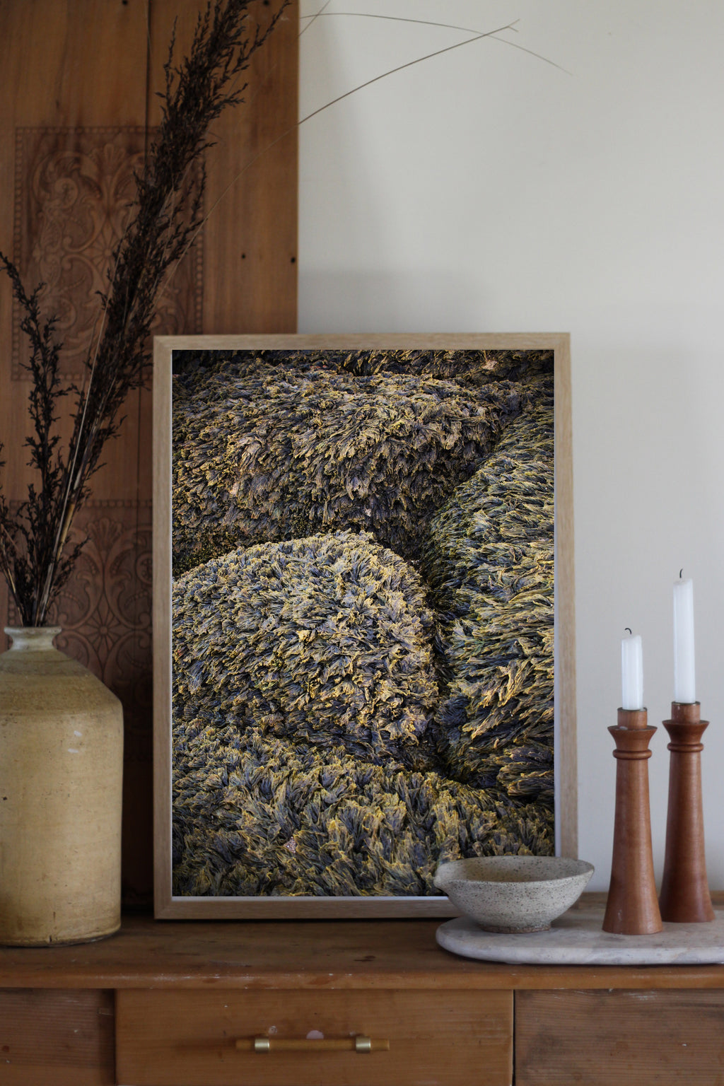 Seaweed Carpet