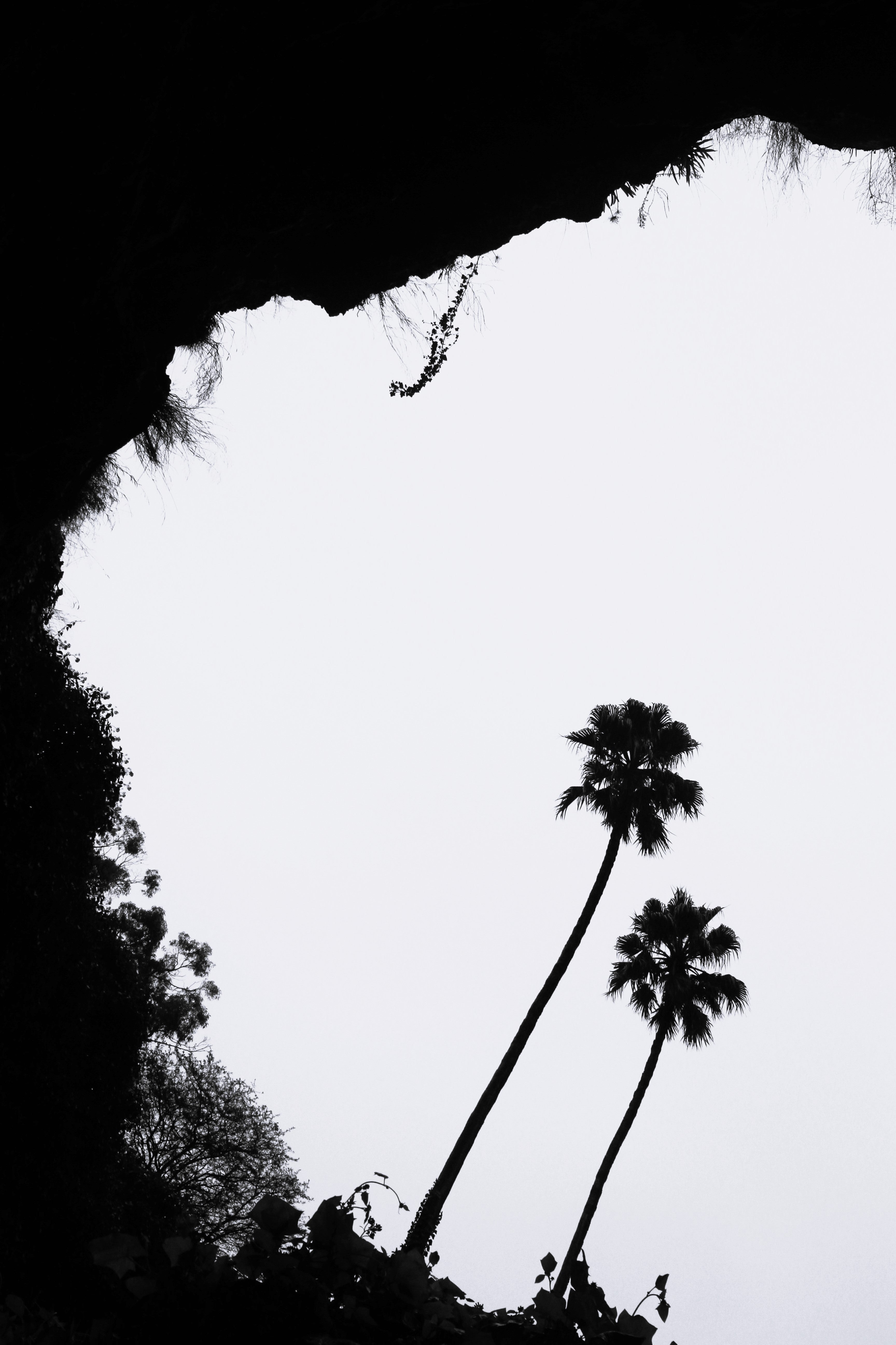 Sinkhole B&W