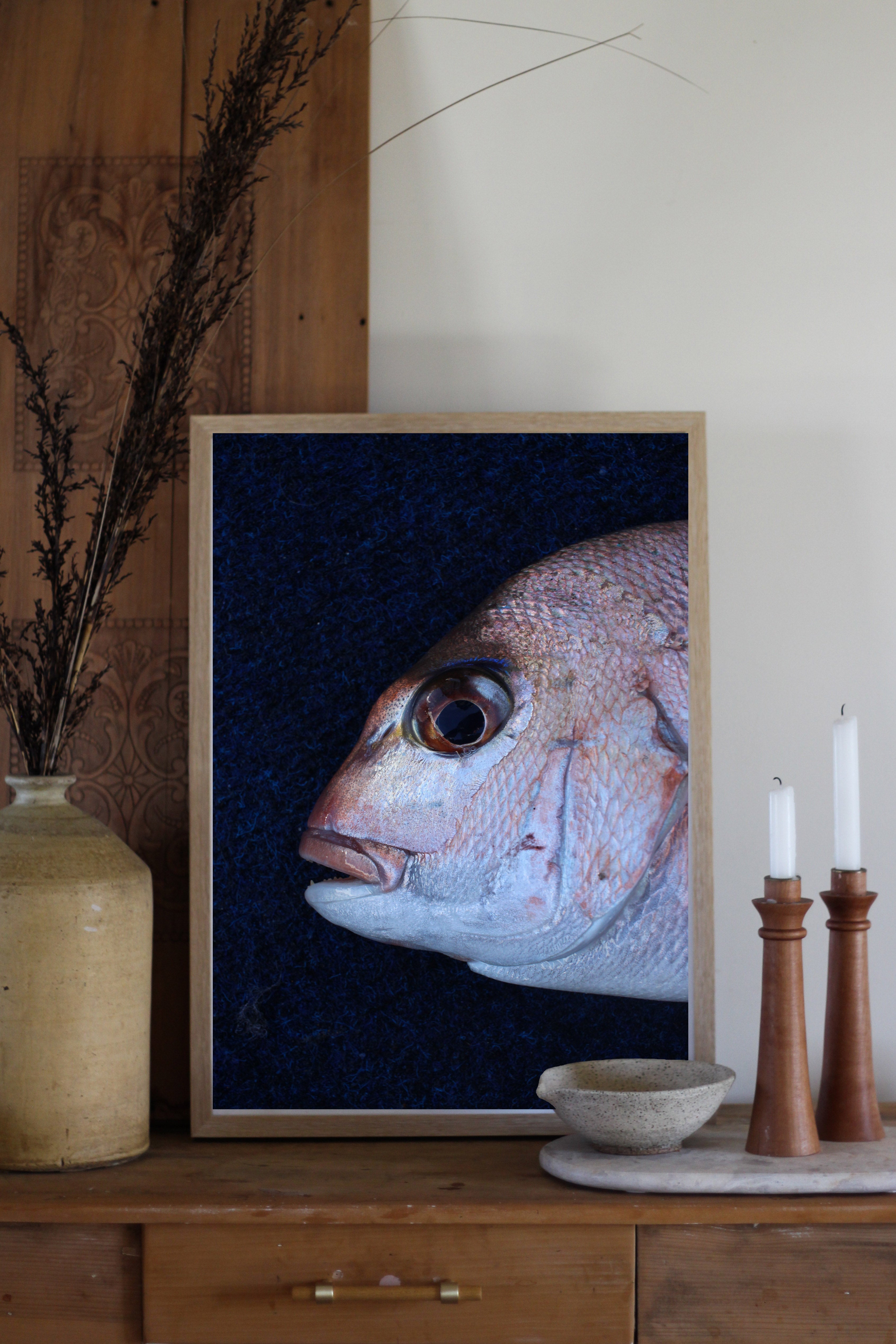 Winter Snapper
